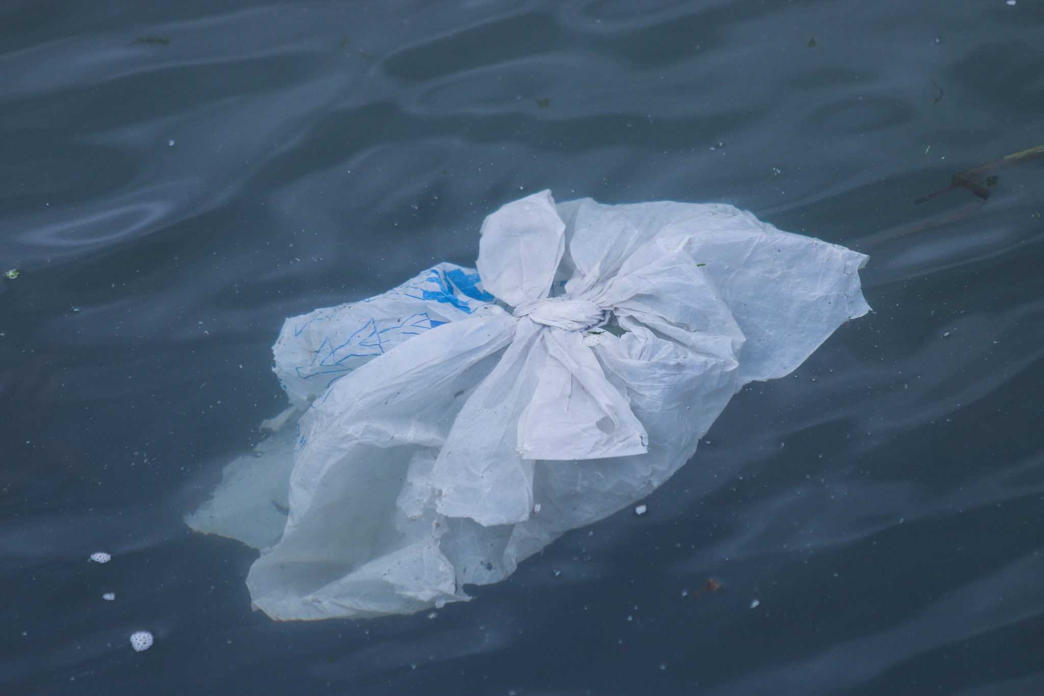 eco friendly packaging